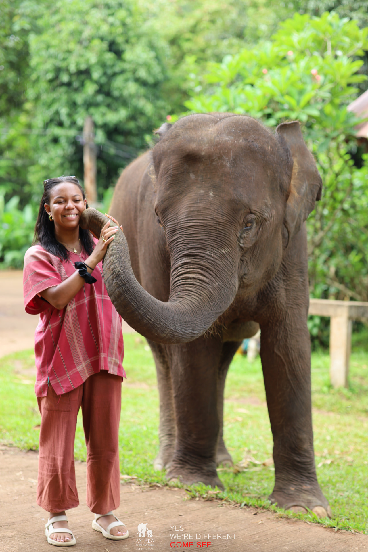 Dyana with an elephant in Thailand